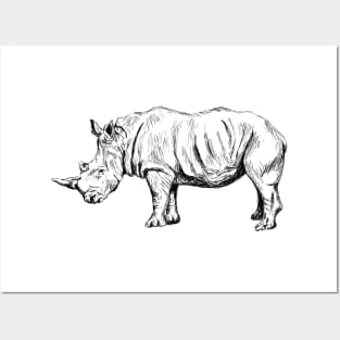 Rhinoceros Posters and Art